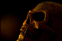 Omega Skull